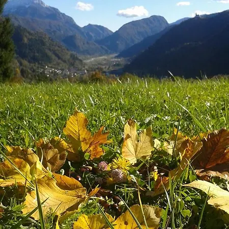 Stalut Puestines Maison d'hôtes Arta Terme
