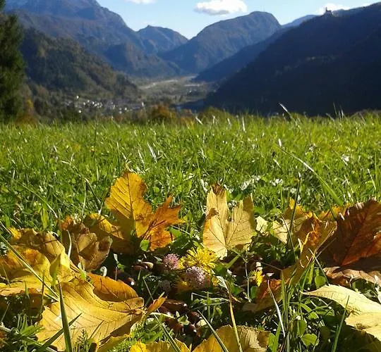 Stalut Puestines Vendégház Arta Terme