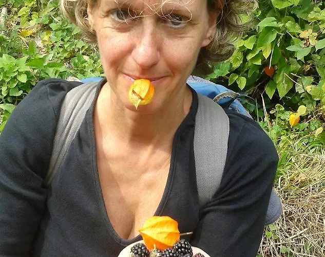 Stalut Puestines 3* Arta Terme